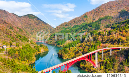 Shogawa Gorge (Autumn) 130634843