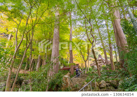 Mino City, Gifu Prefecture: Worshippers climbing the stone steps leading to the main hall of Oyada Shrine in autumn 130634854