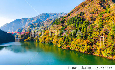 Shogawa Gorge (Autumn) Shogawa Gorge (Autumn) 130634856