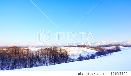 從北海道美瑛的三愛之丘展望公園眺望大雪山連峰和十勝連峰 130635131