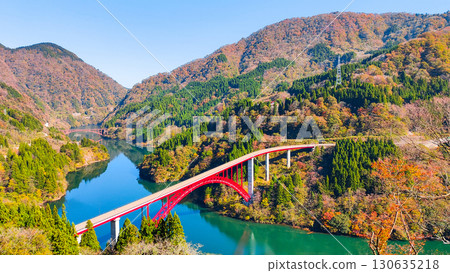Shogawa Gorge (Autumn) Shogawa Gorge (Autumn) 130635218