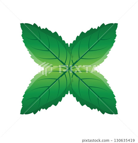 Green Leaf logo vector natural plant nature design icon leaf template illustration 130635419
