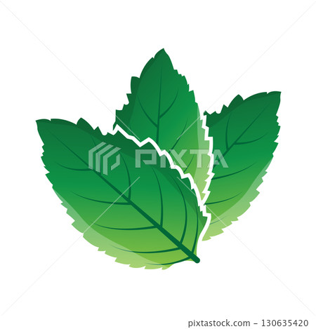 Green Leaf logo vector natural plant nature design icon leaf template illustration 130635420