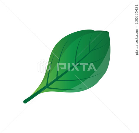 Green Leaf logo vector natural plant nature design icon leaf template illustration 130635421