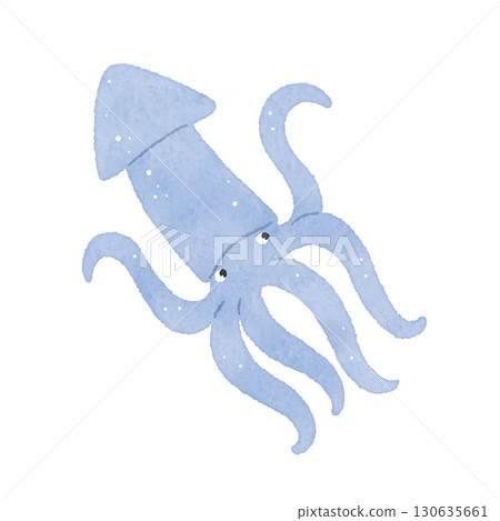 Cute watercolor squid illustration 130635661