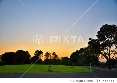 Aichi Prefecture: Sunset on the newly renovated lawn area of the north garden of Meijo Park in Nagoya City Aichi Prefecture: Sunset on the newly renovated lawn area of the north garden of Meijo Park in Nagoya City 130635733