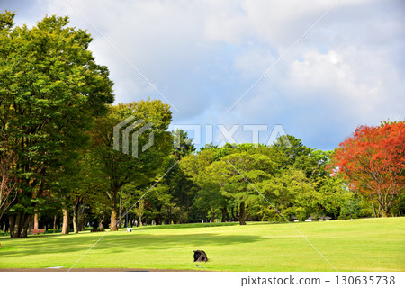 [Aichi Prefecture] The newly renovated grass field at the north garden of Meijo Park in Nagoya City 130635738