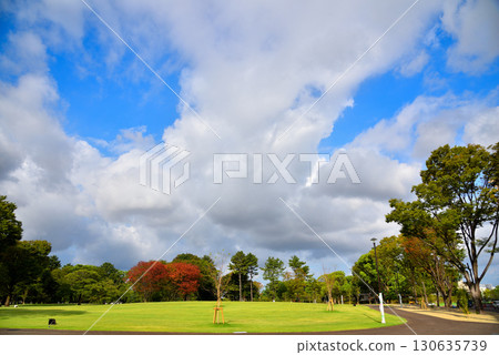 [Aichi Prefecture] The newly renovated grass field at the north garden of Meijo Park in Nagoya City 130635739