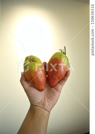 Tomato Tomato 130636318