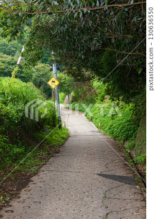 A view of the paved road descending from Ankoku Pass towards Odaka 130636550