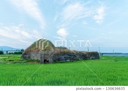 位於稻田中的舊柳本機場北防空洞景觀 130636635
