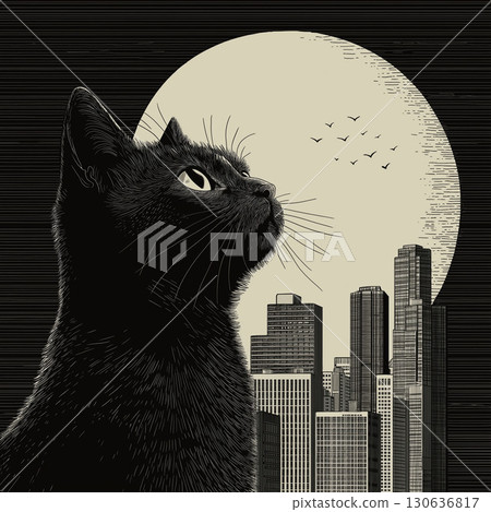 Black cat  130636817