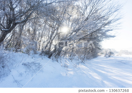 雪鞋徒步 Hiruzen Kogen 的形象 雪鞋徒步 Hiruzen Kogen 的形象 130637268
