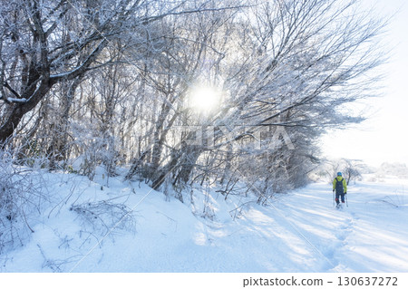 Image of snowshoe trekking Hiruzen Kogen Image of snowshoe trekking Hiruzen Kogen 130637272