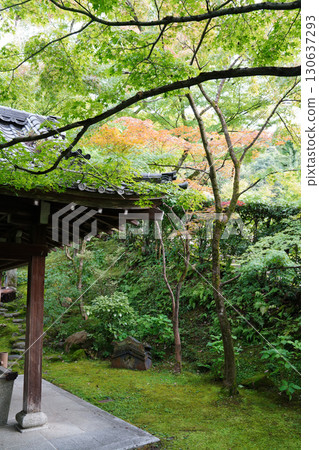 京都寺院的景色，能感受到秋天的氣息 130637293