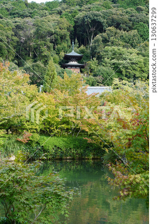 京都寺院的景色,能感受到秋天的氣息 京都寺院的景色,能感受到秋天的氣息 130637299