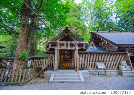 [Takachiho Town, Miyazaki Prefecture] Amanoiwato Shrine, West Main Shrine, Haiden, Evening View 130637383
