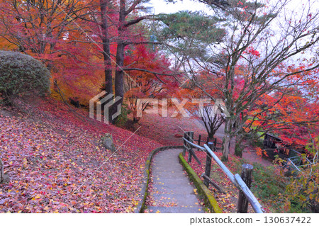 Falls of Sogaki in autumn Falls of Sogaki in autumn 130637422