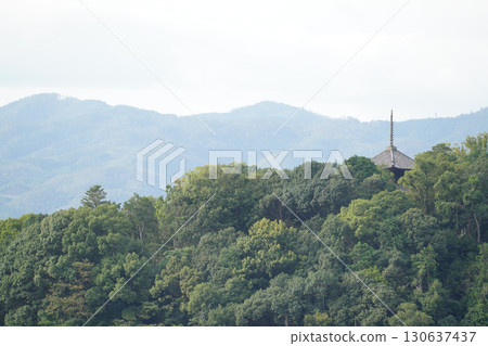 The tower of Konkai-Komyoji Temple seen from the Tahoto Pagoda of Eikando Temple 130637437