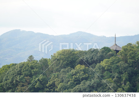 The tower of Konkai-Komyoji Temple seen from the Tahoto Pagoda of Eikando Temple 130637438