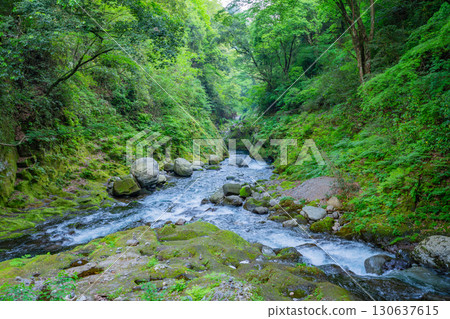 [宮崎縣高千穗町]天岩戶神社、天安河原 130637615