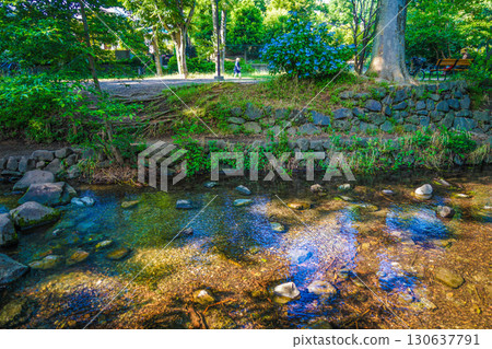 神田河的起源 130637791