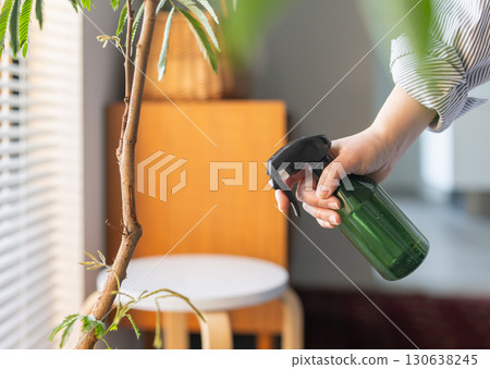 Watering Watering 130638245
