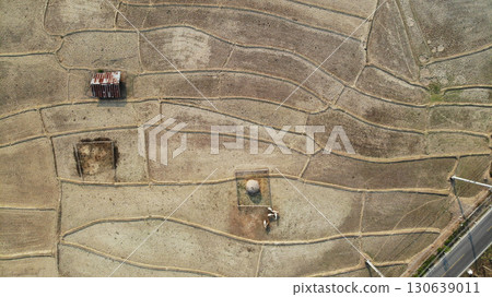 Aerial photo of rice fields in summer, captured from drone perspective. 130639011