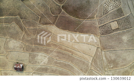 Aerial photo of rice fields in summer, captured from drone perspective. 130639012