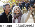 Happy elderly couple picking ripe dark grapes in a vineyard on a sunny day, enjoying nature and farming lifestyle together in the autumn season Happy elderly couple picking ripe dark grapes in a vineyard on a sunny day, enjoying nature and farming lifestyle together in the autumn season 130639968