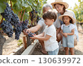 Happy multigenerational family harvesting dark grapes together in a sunny vineyard, with kids learning from grandparents and enjoying a fun outdoor farming activity Happy multigenerational family harvesting dark grapes together in a sunny vineyard, with kids learning from grandparents and enjoying a fun outdoor farming activity 130639972