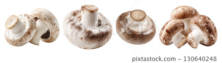 Set of isolated button mushrooms on transparent background for cooking and food ingredient design. 130640248