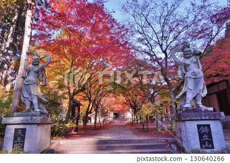 天王院、篠栗屯山觀音寺的秋葉 天王院、篠栗屯山觀音寺的秋葉 130640266