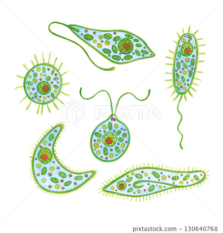 Set of phytoplankton, animal and plant unicellular organism. Watercolor illustration drawn, cartoon, made by hand. For stickers, biology and ecology manuals. Sea, animal, organism, ocean 130640768