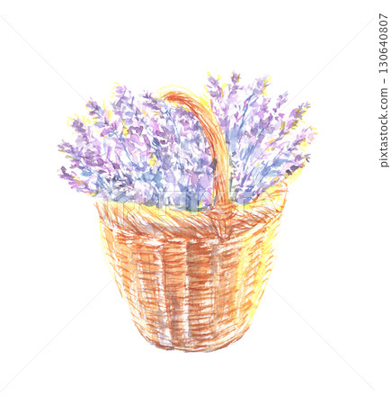 籃子裡的薰衣草水彩插圖 130640807
