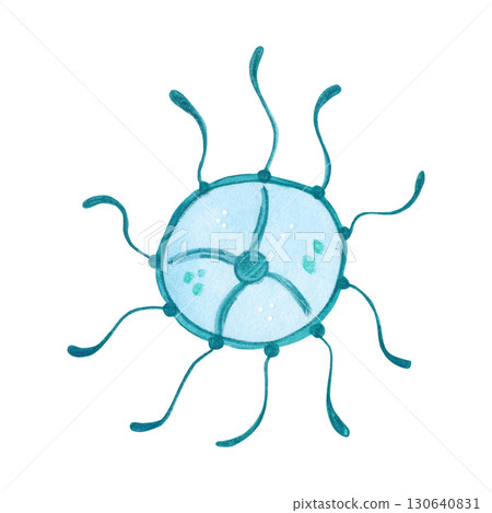 A small blue jellyfish with spread tentacles in the form of the sun. Watercolor illustration drawn, cartoon, made by hand. For stickers, biology and ecology manuals. Sea, animal, ocean A small blue jellyfish with spread tentacles in the form of the sun. Watercolor illustration drawn, cartoon, made by hand. For stickers, biology and ecology manuals. Sea, animal, ocean 130640831