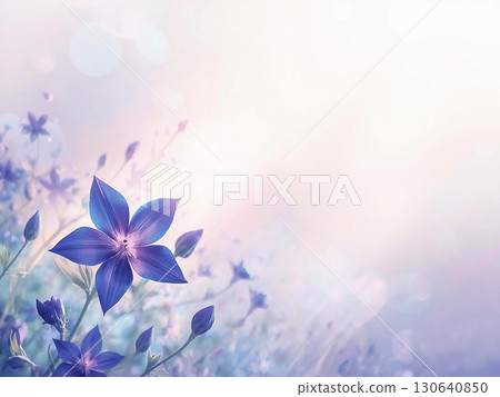 美麗的星形風鈴草的插圖 130640850