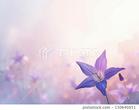 夢幻般的風鈴草插圖 130640851