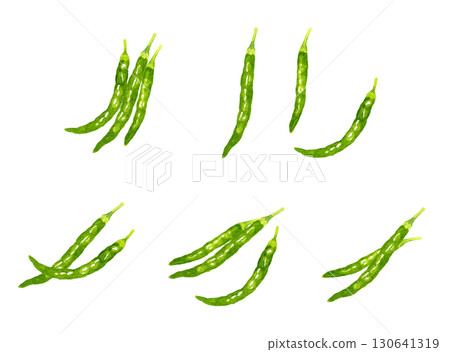一組青辣椒。手繪水彩畫,描繪蔬菜和調味品。 一組青辣椒。手繪水彩畫,描繪蔬菜和調味品。 130641319