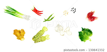 A set of vegetables used as condiments - Hand-drawn watercolor illustrations 130641332
