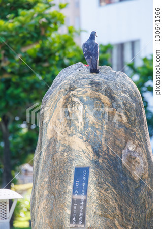 A rock dove (Columbidae) resting on a monument. Naha Tomari Port, Naha City, Okinawa Prefecture - June 26, 2025 A rock dove (Columbidae) resting on a monument. Naha Tomari Port, Naha City, Okinawa Prefecture - June 26, 2025 130641566