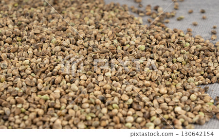 Hemp seeds, cannabis grains, marijuana kernels, oil hempseeds pile Hemp seeds, cannabis grains, marijuana kernels, oil hempseeds pile 130642154