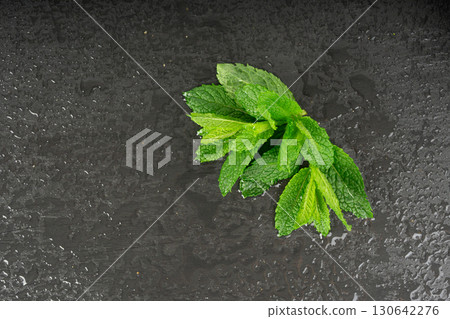 Mint twigs, leaves. Peppermint sprig with drops, fresh wet mentha stem, green spearmint branch 130642276