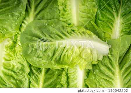 One romaine lettuce salad texture backgroound. Cos green leaves pattern, fresh romain salat One romaine lettuce salad texture backgroound. Cos green leaves pattern, fresh romain salat 130642292