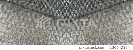 Fish scales texture background, sea bass skin close up, macro shot of silver labrax scale Fish scales texture background, sea bass skin close up, macro shot of silver labrax scale 130642534