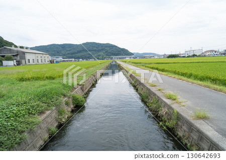 水襲歷史公園(備中高松城跡) 水襲歷史公園(備中高松城跡) 130642693