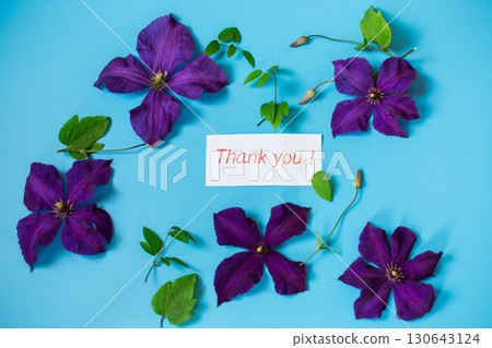 purple clematis branch on blue background top purple clematis branch on blue background top 130643124