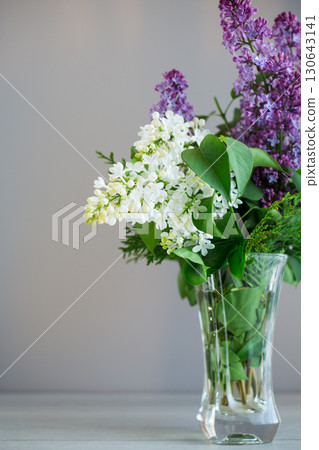 Delicate lilac branches isolated on a gray background Delicate lilac branches isolated on a gray background 130643141