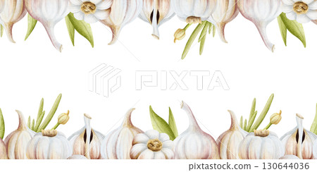 Garlic with green leaves horizontal rectangular frame frame isolated on white. Hand drawn realistic vegetables template with copy space for spices cooking designs. Organic food watercolor clip art Garlic with green leaves horizontal rectangular frame frame isolated on white. Hand drawn realistic vegetables template with copy space for spices cooking designs. Organic food watercolor clip art 130644036