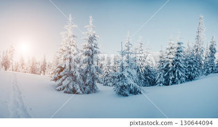 beautiful winter landscape 130644094